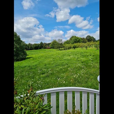 Neu Ferienwohnung Odenwald Rimhorn Exteriér fotografie