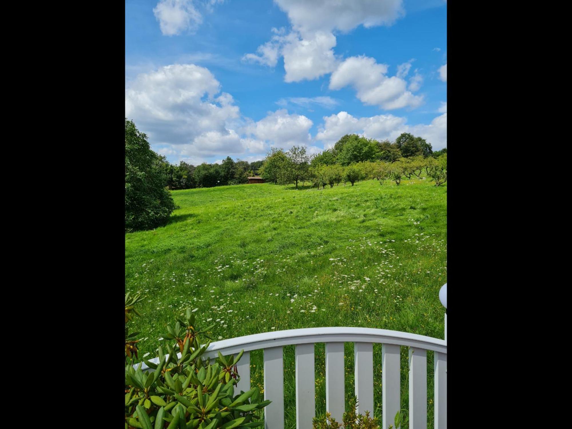 Neu Ferienwohnung Odenwald Rimhorn Exteriér fotografie